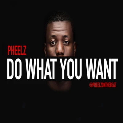 Do What You Want 專輯 Pheelz