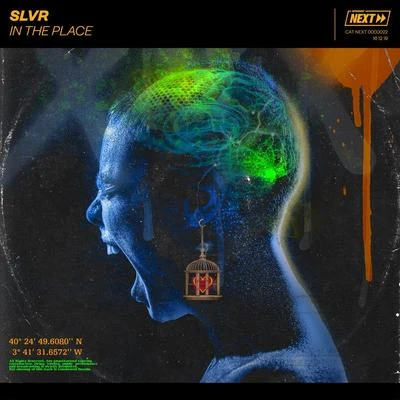 In The Place 專輯 SLVR