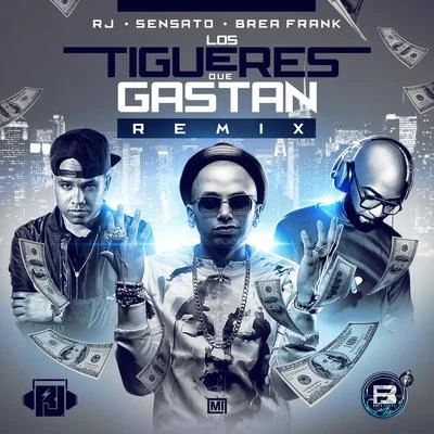 Los Tigueres Que Gastan (Remix) 专辑 Sensato