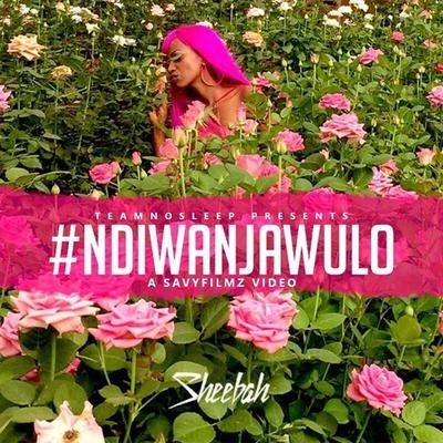 Ndiwanjawulo 專輯 Sheebah/King Saha