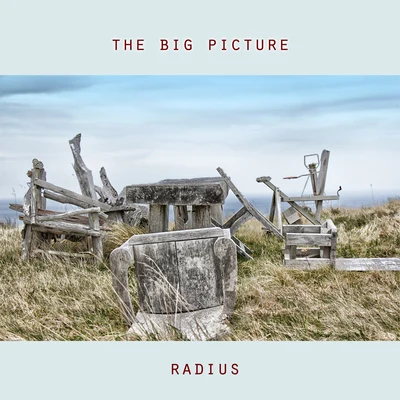 The Big Picture 專輯 CYANIDE/Radius/Jalebee Cartel/Sawan Dutta/East India Company