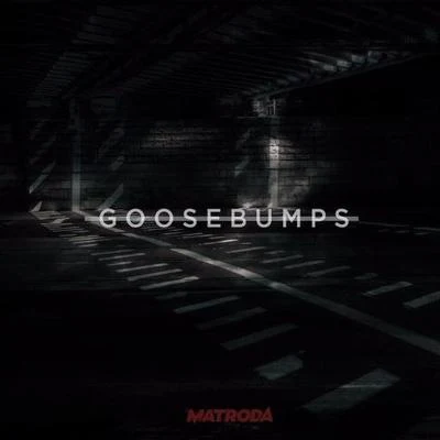 Goosebumps (VIP Edit) 專輯 Matroda/Loge21