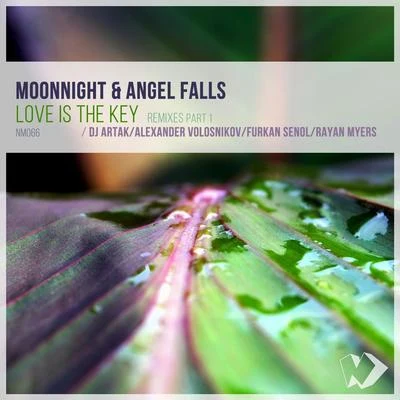 Love Is the Key (Remixes, Pt. 1) 專輯 Moonnight