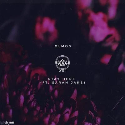 Stay Here 专辑 Olmos