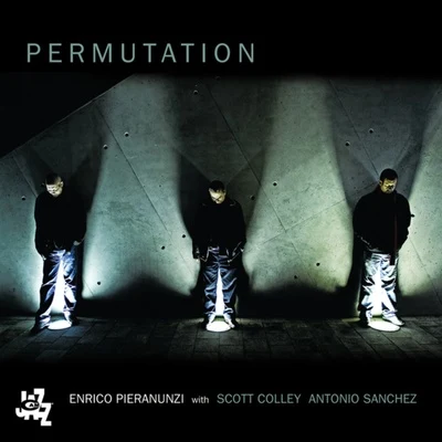 Permutation 專輯 Enrico Pieranunzi/Marc Johnson/Paul Motian