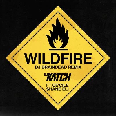 Wildfire (Dj Braindead Remix) 专辑 DJ Katch