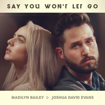 Say You Won&#x27;t Let Go 专辑 Madilyn Bailey