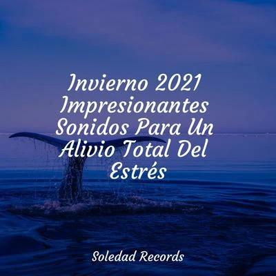 Invierno 2021 Impresionantes Sonidos Para Un Alivio Total Del Estrés 专辑 Einstein Study Music Experience/Piano para Dormir/Piano: Classical Relaxation