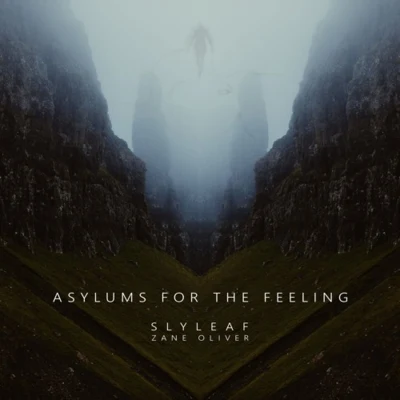 Asylums for the Feeling 專輯 Slyleaf