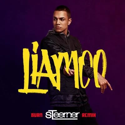 Burn (Steerner Remix) 专辑 Liamoo