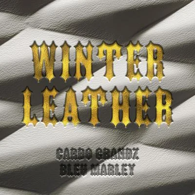 Winter Leather 专辑 Avion/Ducati Jai/Cardo Grandz