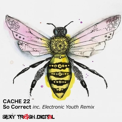 So Correct 專輯 Cache 22/Real One