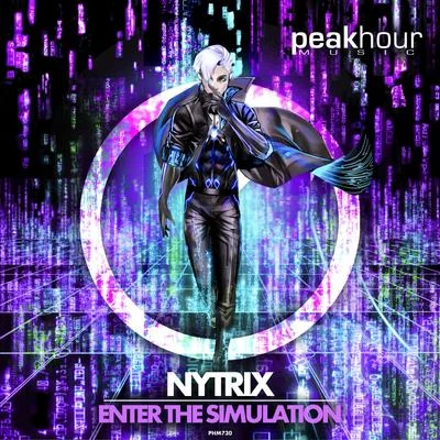 Nytrix Enter The Simulation