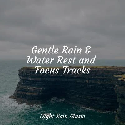 Buddhist Meditation Music SetMusique Zen GardenBedtime Baby Gentle Rain & Water Rest and Focus Tracks