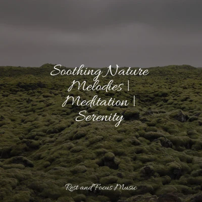 Soothing Nature Melodies | Meditation | Serenity 專輯 Serenity Spa Music Relaxation/Música Zen Relaxante/White Noise Babies