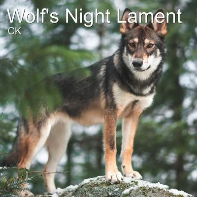 Wolfs Night Lament 專輯 CK