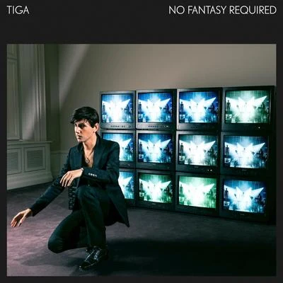 No Fantasy Required 专辑 Tiga