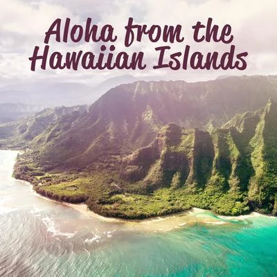 Aloha from the Hawaiian Islands 專輯 Hawaiian Music/Crazy Party Music Guys/Top 40