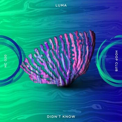 Didn't Know (Extended Mix) 專輯 Luma