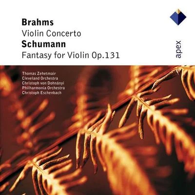 Brahms : Violin Concerto & Schumann : Fantasy-Apex 專輯 Thomas Zehetmair/Camerata Bern