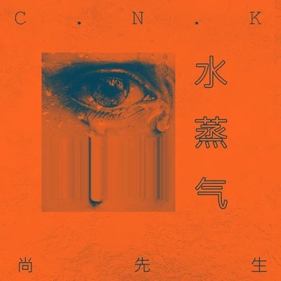 C.N.K纯粹工厂LiiiV_Official 水蒸气