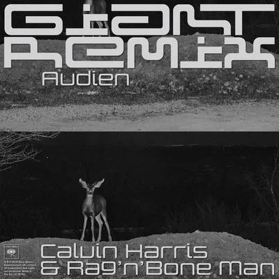 Giant (Audien Extended Remix) 专辑 Rag'N'Bone Man/Calvin Harris