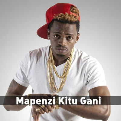 Mapenzi Kitu Gani 專輯 Diamond Platnumz