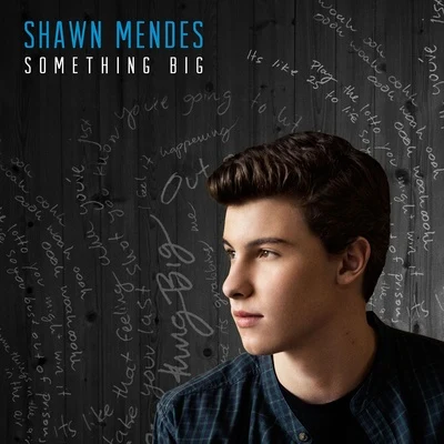 Something Big 專輯 El Beso del Escorpión/Shawn Mendes