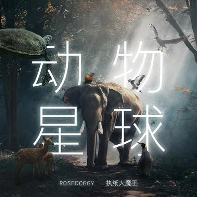 rosedoggy 動物星球