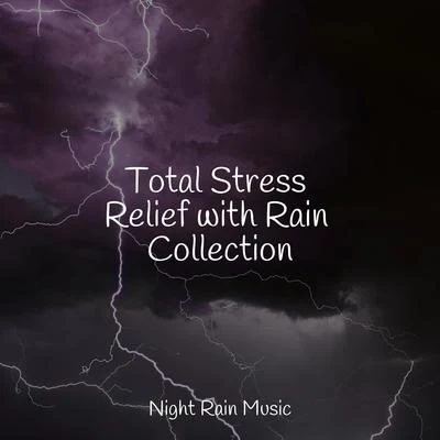 Total Stress Relief with Rain Collection 专辑 Sleep Rain/Deep Rain Sampling/Classical New Age Piano Music