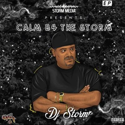 Calm B4 the Storm 专辑 DJ Storm/Silvio Carrano