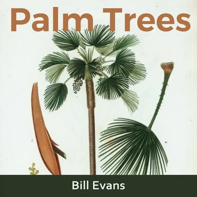 Palm Trees 專輯 Jack DeJohnette/Bill Evans/Eddie Gomez