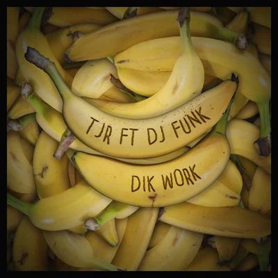 Dik Work 專輯 Feadz/DJ Funk/Pipes/Audionite/Bart B More