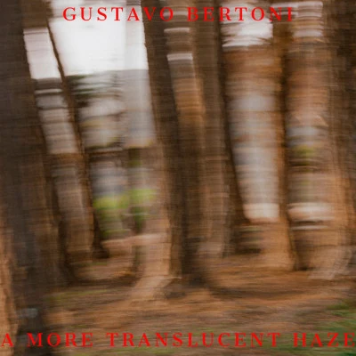 A More Translucent Haze 專輯 Gustavo Bertoni/Pontifexx