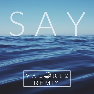 Say (Valoriz Remix) 专辑 ToWonder/The Spacies