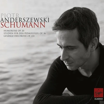 Schumann : Piano works 專輯 Stephen Johns/Piotr Anderszewski