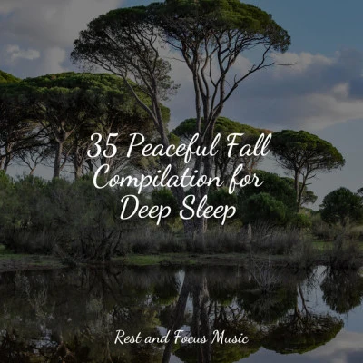 35 Peaceful Fall Compilation for Deep Sleep 專輯 Sleep Tight/Entspannungsmusik Oase/Binaural Beats Brain Waves Isochronic Tones Brain Wave Entertainment