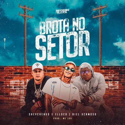 Brota no Setor 專輯 Shevchenko e Elloco/MC Levin