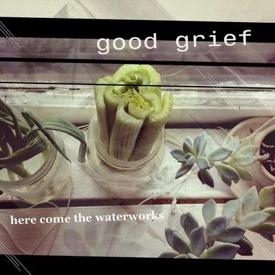 Here Come the Waterworks 專輯 Good Grief