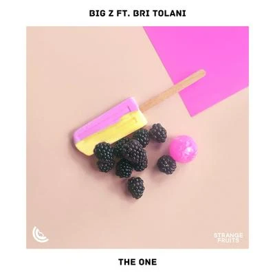 The One (feat. Bri Tolani) 专辑 Bri Tolani