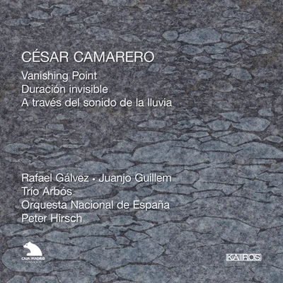 CAMARERO, C.: Vanishing PointDuracion invisibleA traves del sonido de la lluvia (Spanish National Orchestra, Hirsch) 专辑 Rundfunk-Sinfonieorchester Saarbrücken/Peter Hirsch