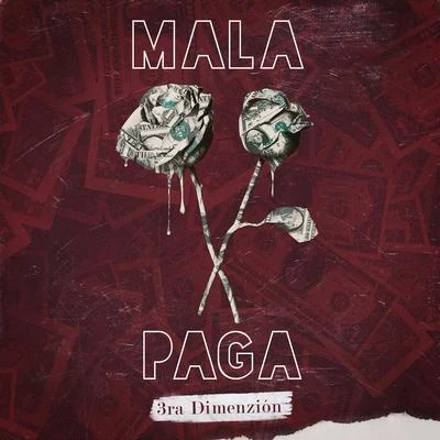 Mala Paga 专辑 3ra Dimenzion