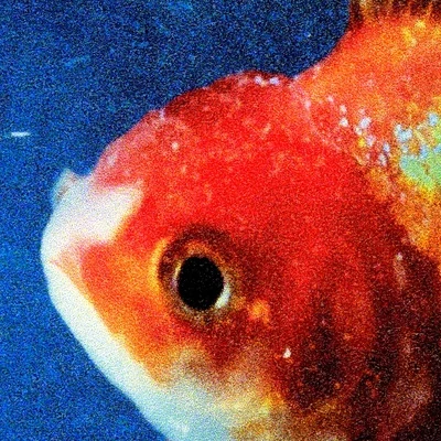 Big Fish Theory 專輯 Vince Staples