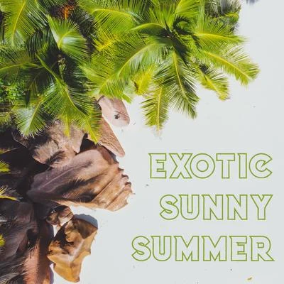 Exotic Sunny Summer – Chillout Bar Lounge, Sensual Party Playlist, Chillax Lounge, Summer Infinite Obsession, Chill Out Midnight Vibes, Tropical Rest 專輯 Ibiza Lounge Club/Baby Sleep Through the Night/Brain Study Music Guys