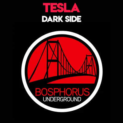 Dark Side 專輯 Tesla/Earl Swavey