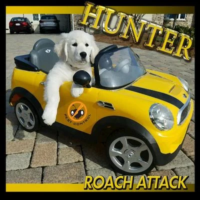 Roach Attack 專輯 Hunter