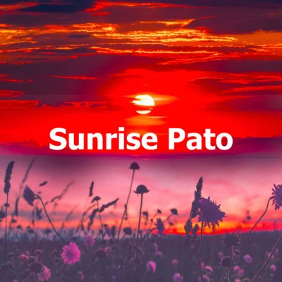 Sunrise Pato 专辑 Bossa Café En Ibiza/Shakuhachi Sakano/Classical Lullabies