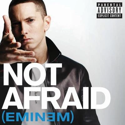 Not Afraid 專輯 Eminem/Bryan Adams/Lange/Karaoke Diamonds/Hank Williams