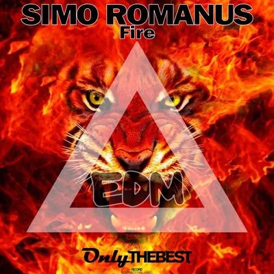 Fire 專輯 Dino Brown/Simo Romanus/Kilian Taras/Gemeni