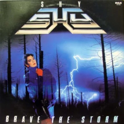 SHYCvdb Brave the Storm